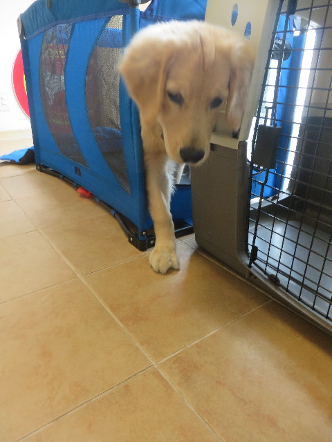 ファイル 6682-3.jpg