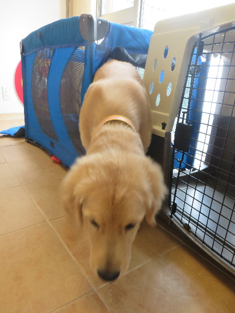 ファイル 6682-4.jpg