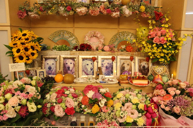 ファイル 6683-2.jpg