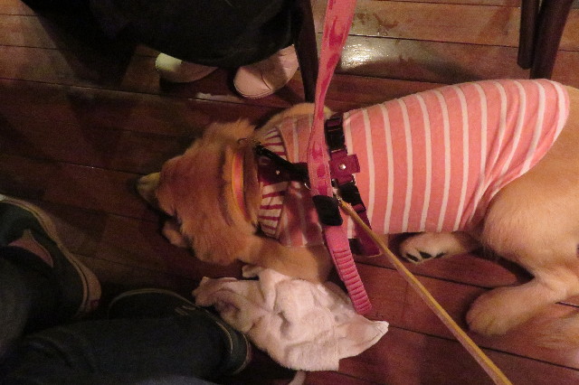 ファイル 6685-5.jpg