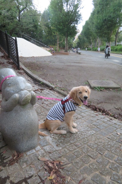 ファイル 6686-2.jpg