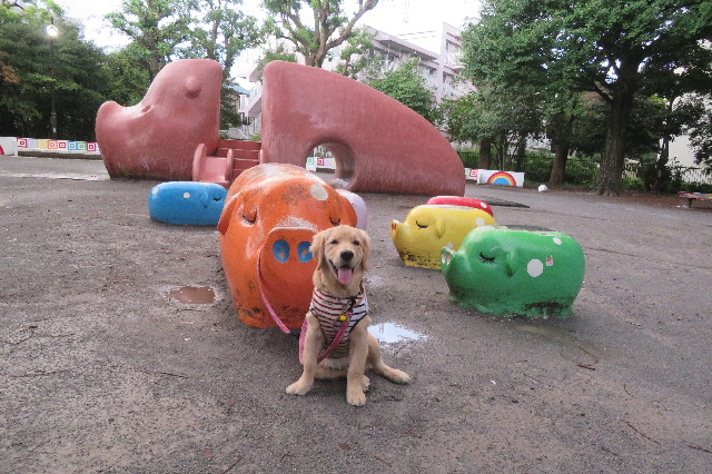 ファイル 6686-3.jpg