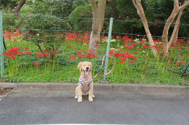 ファイル 6687-5.jpg