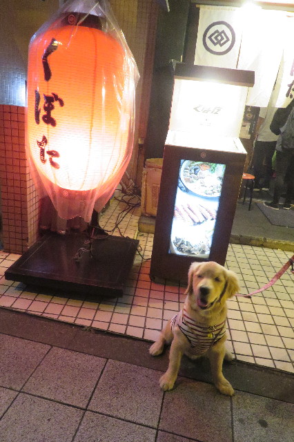 ファイル 6689-3.jpg