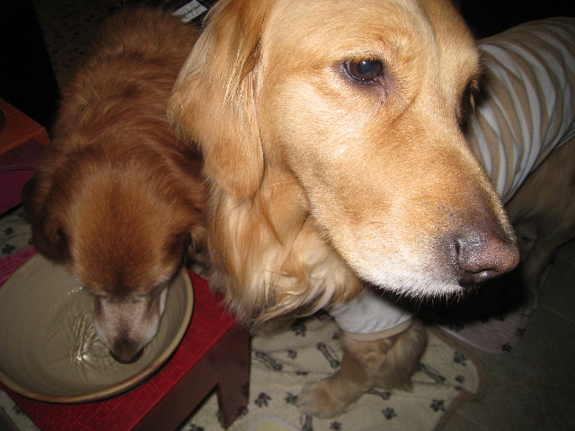 ファイル 669-3.jpg