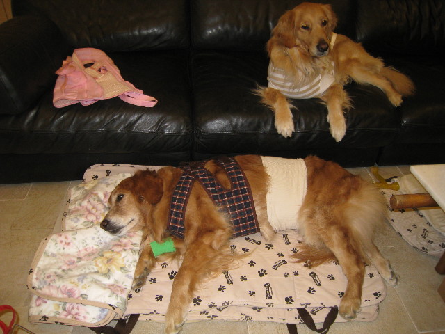 ファイル 669-4.jpg