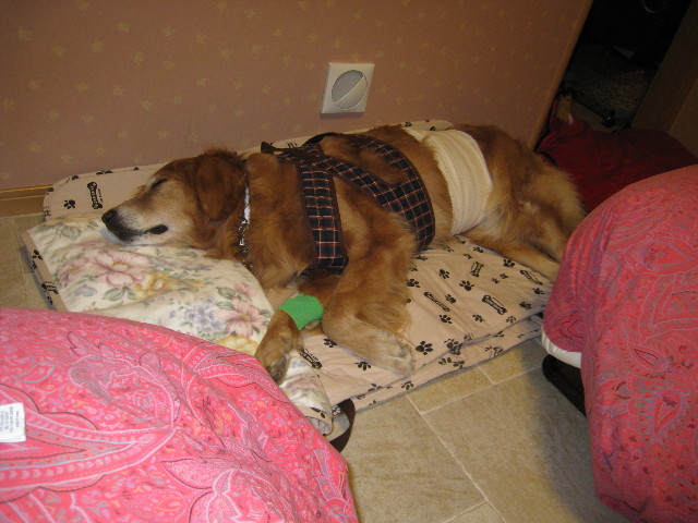 ファイル 669-5.jpg