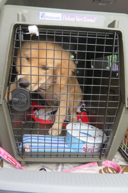 ファイル 6690-3.jpg