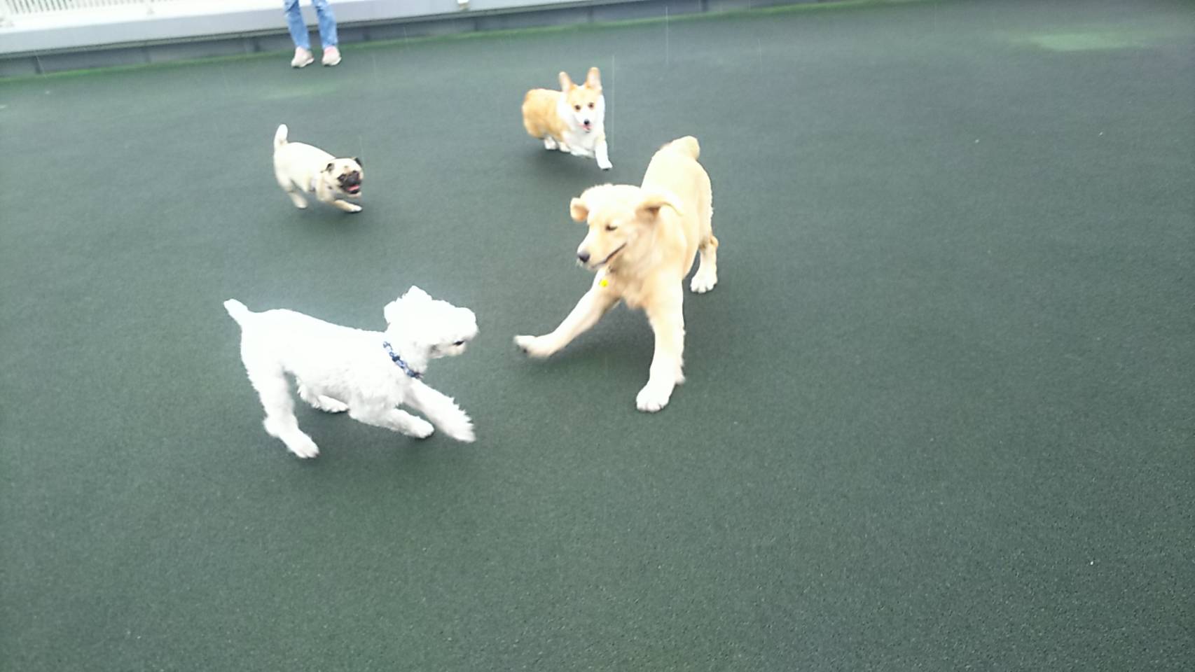 ファイル 6691-1.jpg