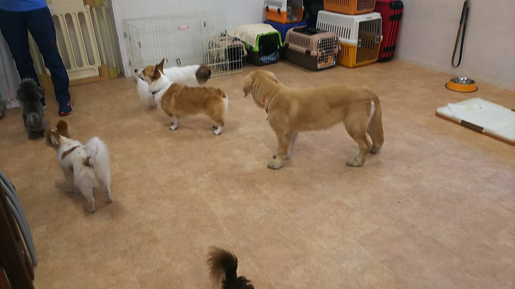 ファイル 6691-3.jpg