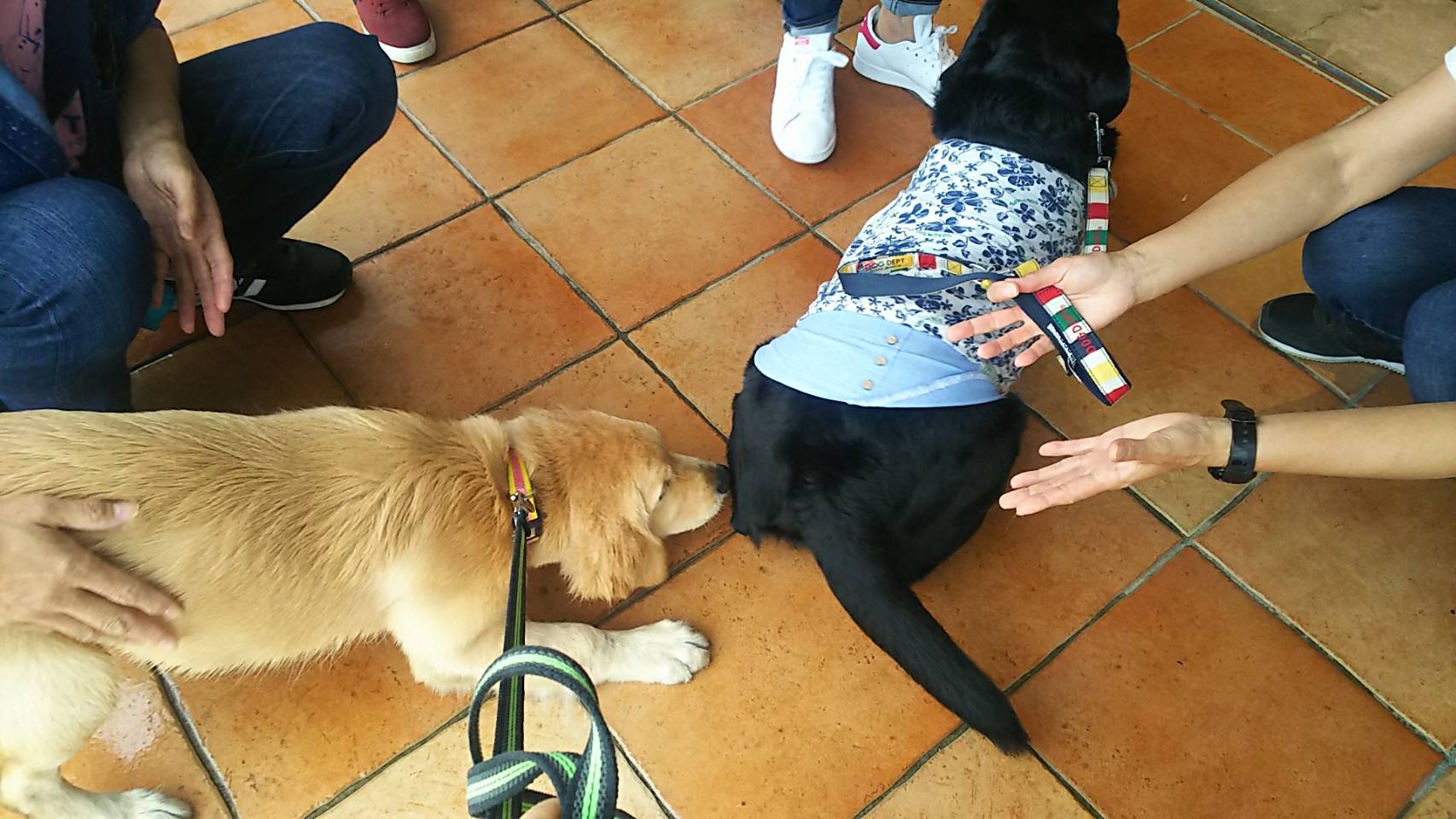 ファイル 6691-4.jpg