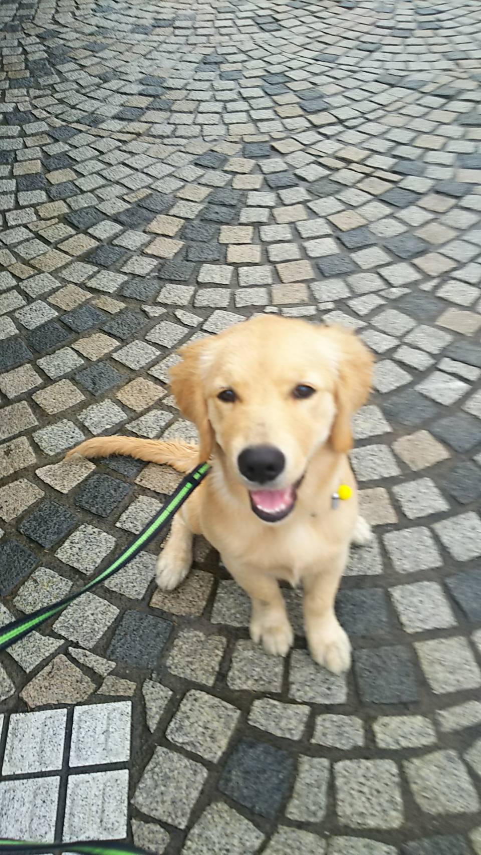 ファイル 6691-5.jpg