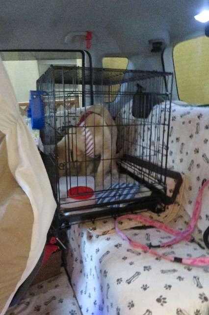 ファイル 6692-1.jpg