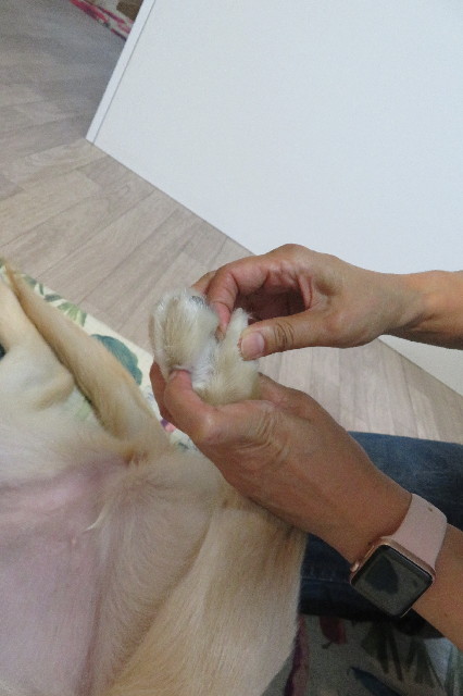 ファイル 6692-2.jpg