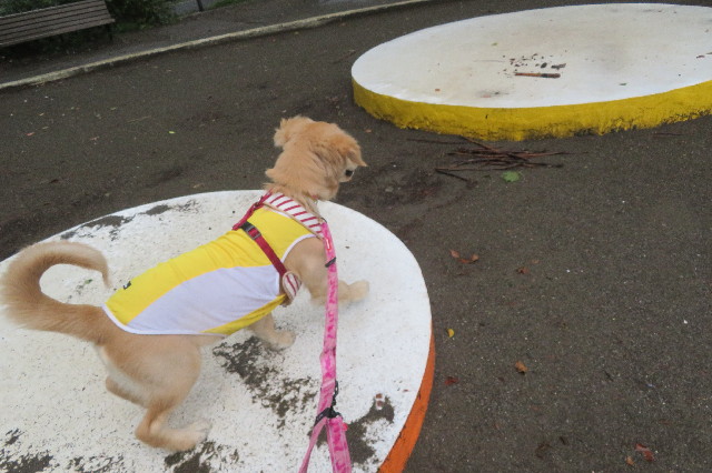 ファイル 6694-1.jpg