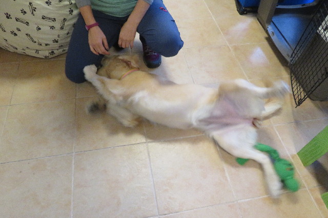 ファイル 6694-4.jpg