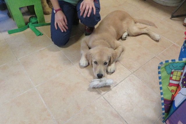 ファイル 6694-5.jpg