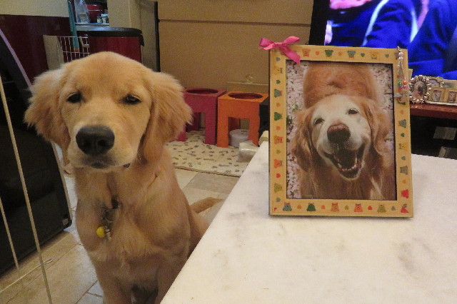 ファイル 6697-3.jpg