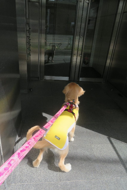 ファイル 6699-2.jpg