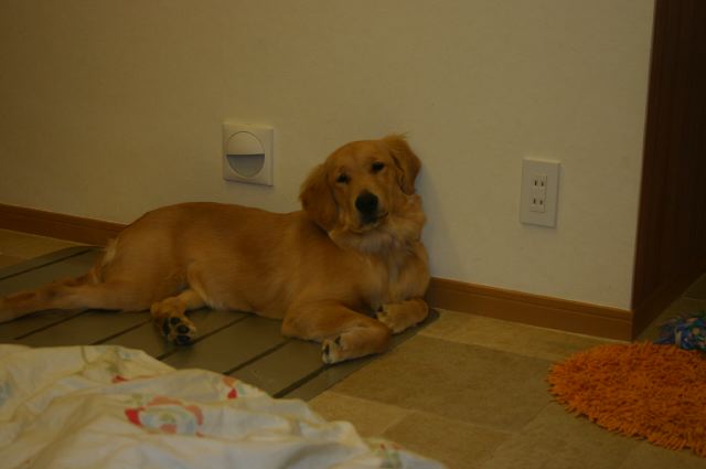 ファイル 67-1.jpg