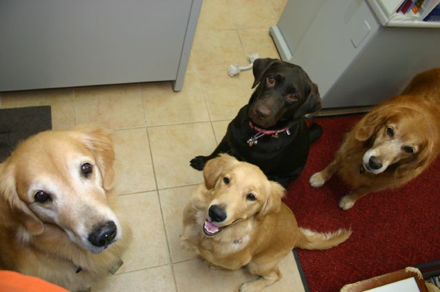 ファイル 67-2.jpg