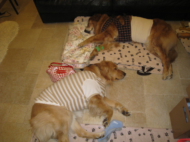 ファイル 670-3.jpg