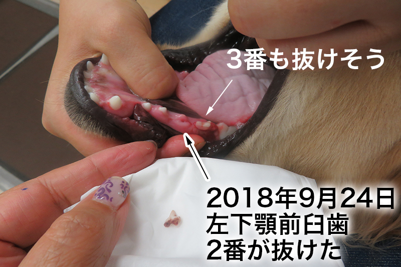 ファイル 6700-1.jpg