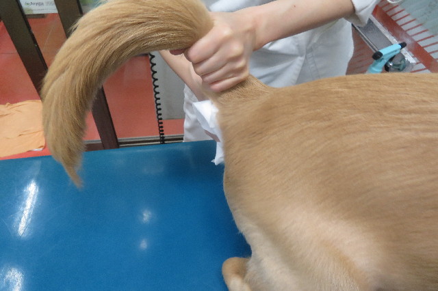 ファイル 6700-3.jpg