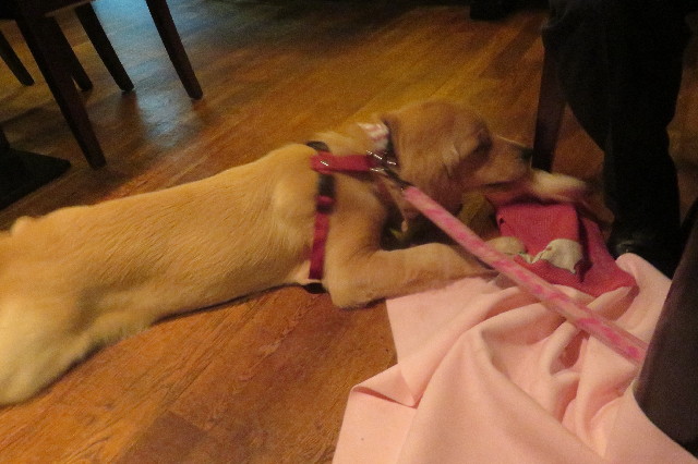 ファイル 6702-3.jpg