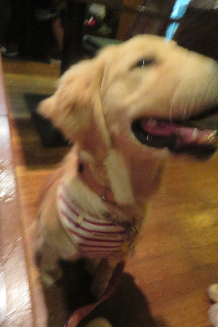 ファイル 6703-4.jpg