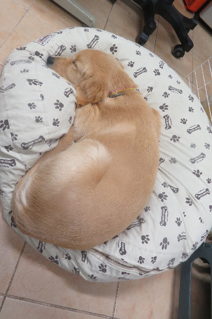 ファイル 6704-2.jpg