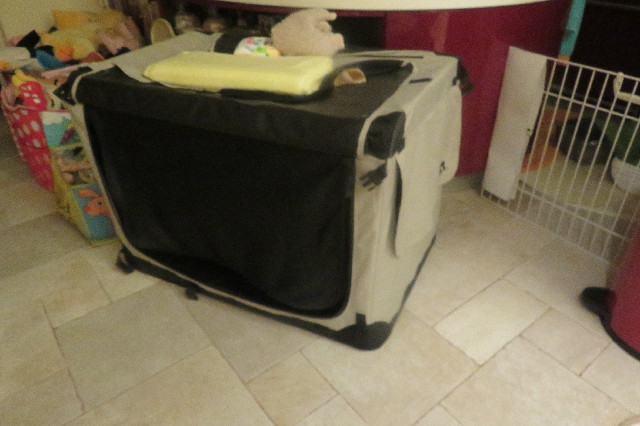 ファイル 6704-3.jpg