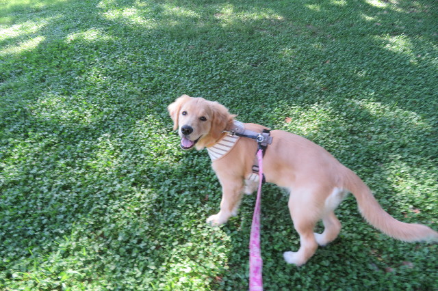 ファイル 6707-1.jpg