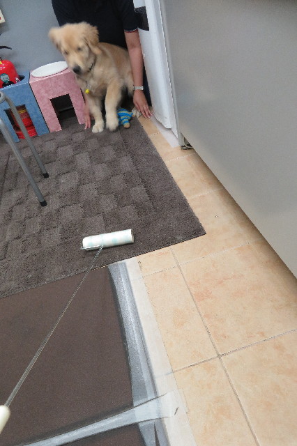 ファイル 6708-2.jpg