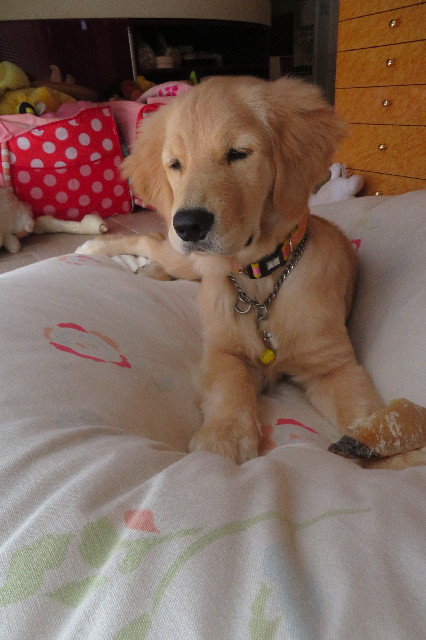 ファイル 6708-3.jpg