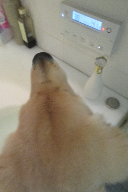 ファイル 6709-5.jpg