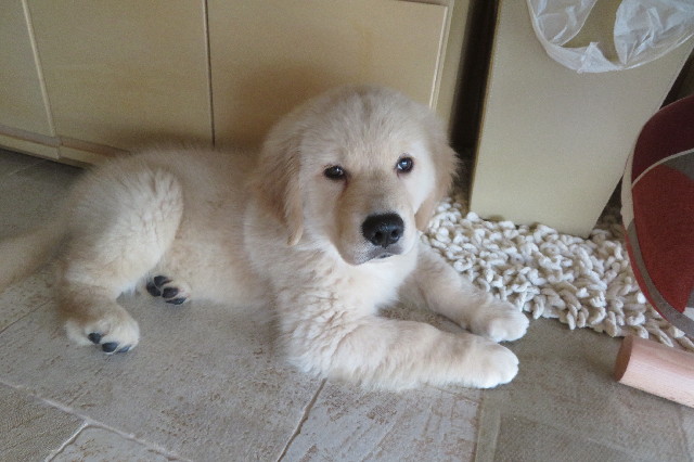 ファイル 6710-5.jpg