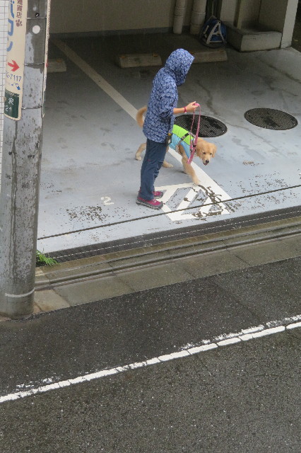 ファイル 6711-3.jpg