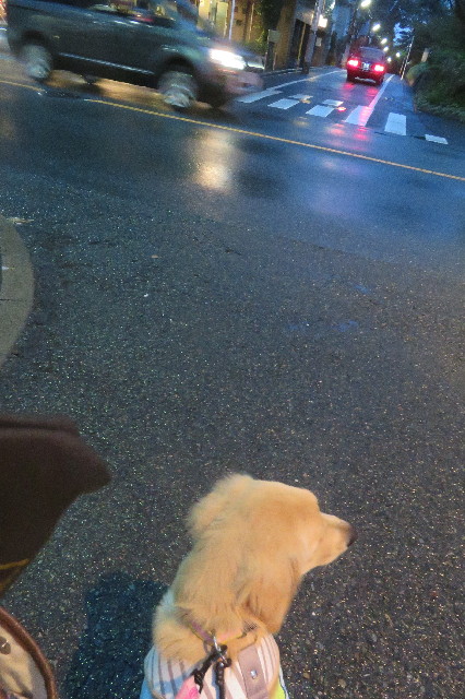 ファイル 6711-4.jpg