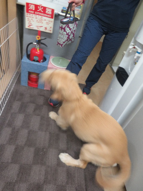 ファイル 6713-4.jpg