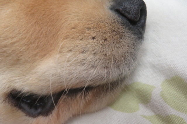 ファイル 6713-5.jpg