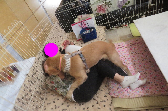 ファイル 6715-1.jpg