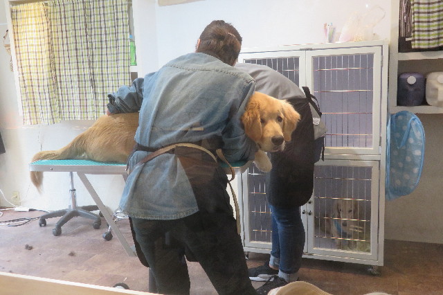 ファイル 6716-1.jpg