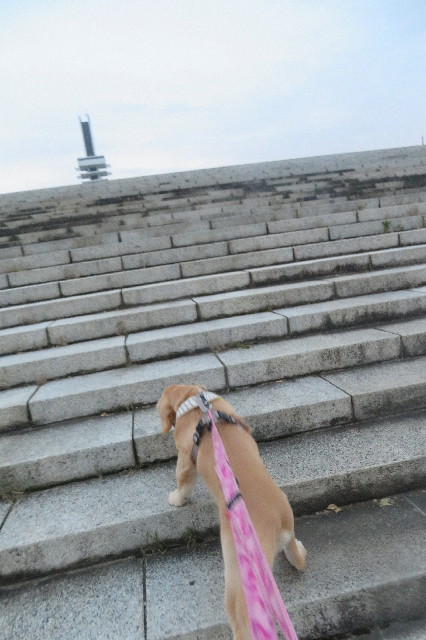 ファイル 6717-3.jpg