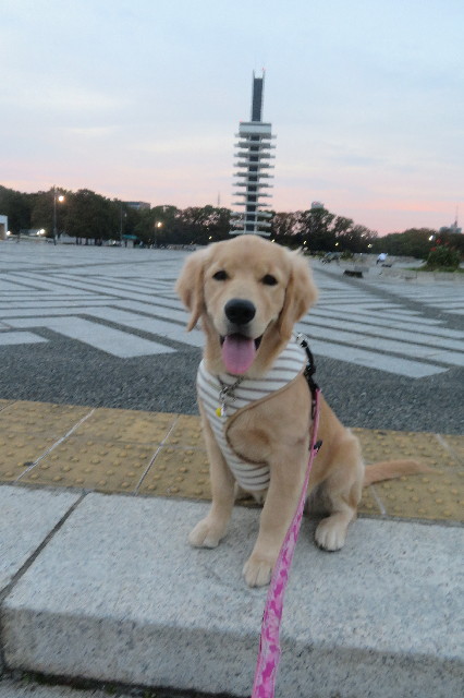 ファイル 6717-4.jpg