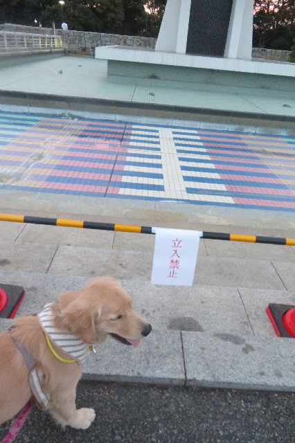 ファイル 6717-5.jpg