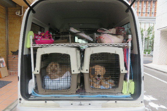 ファイル 6719-1.jpg