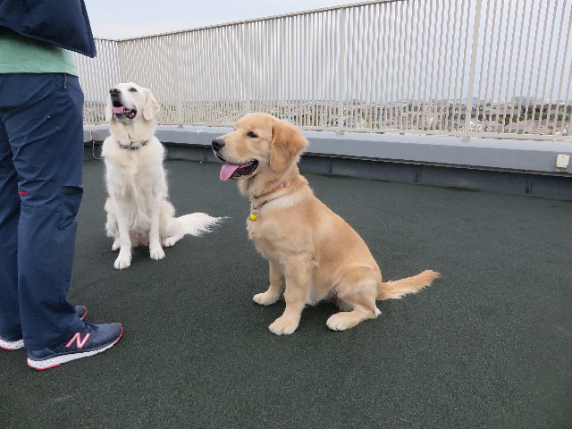 ファイル 6719-3.jpg