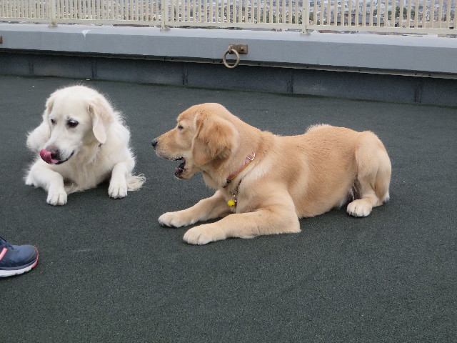 ファイル 6719-5.jpg