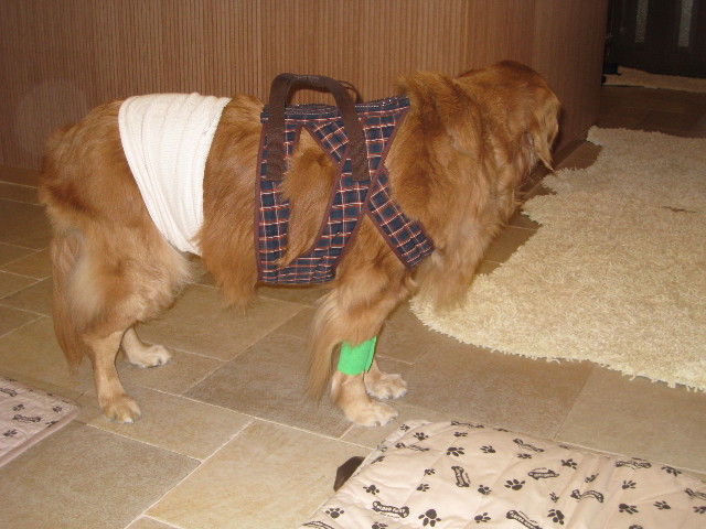 ファイル 672-4.jpg